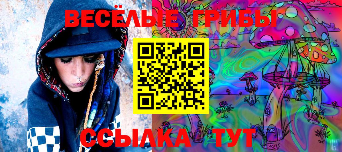 Добрянка  Галлюциногенные грибы Psilocybine cubensis  Вход с VPN 