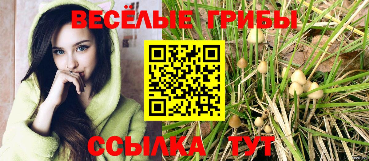 Псилоцибиновые грибы прущие грибы Добрянка